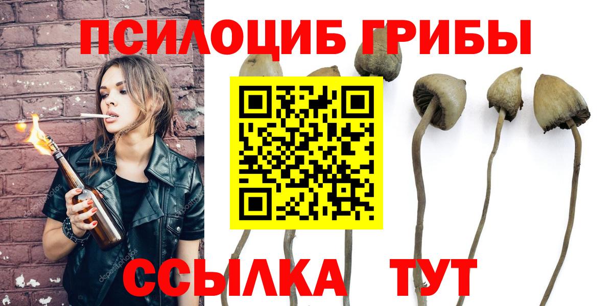Кызыл  Галлюциногенные грибы мицелий  Вход с VPN  Галлюциногенные грибы мицелий 